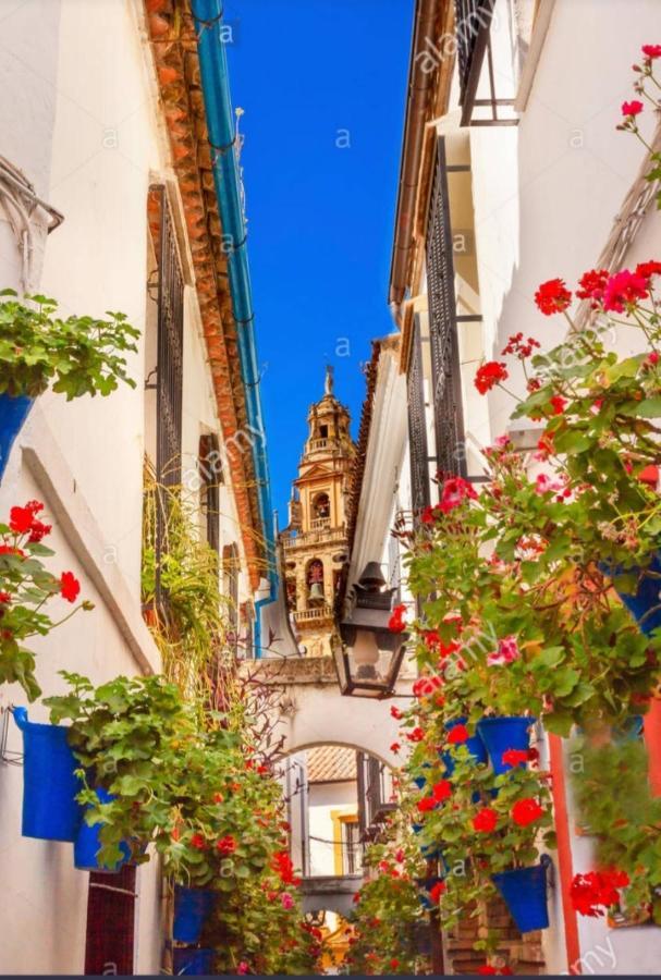 Apartamento Centro-Mezquita 4 A 8 Huespedes Córdoba Exterior foto